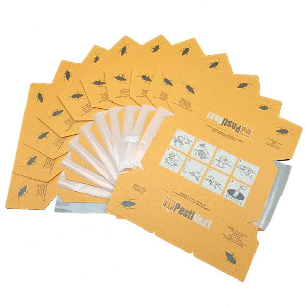 Kakkerlakken in een hotel