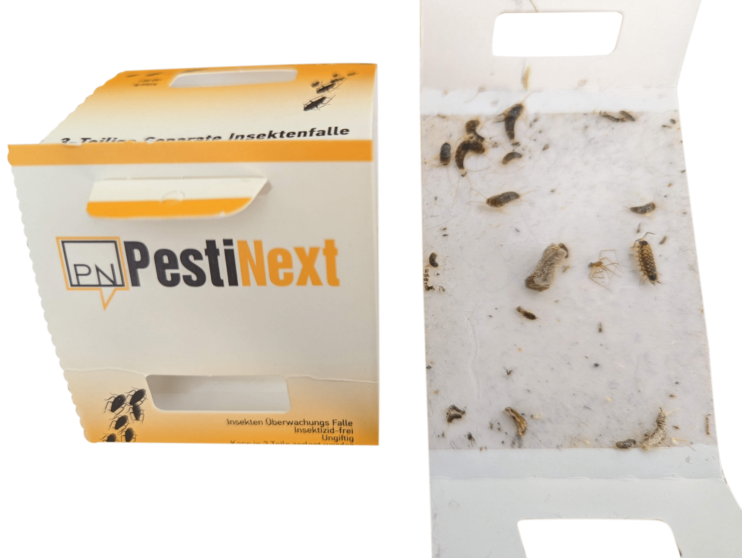 Handleiding PestiNext Zilvervisjesval