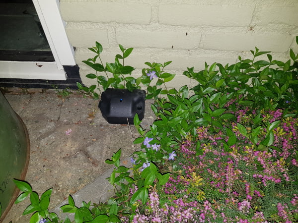 ongediertebestrijding