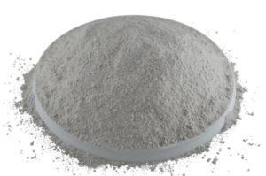 1kg PestiNext Diatomeeënaarde (eco & gifvrij)