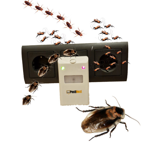 Kakkerlakvallen met feromoon lokstof