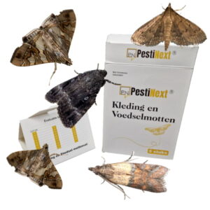 5 x Multi Mottenval – PestiNext