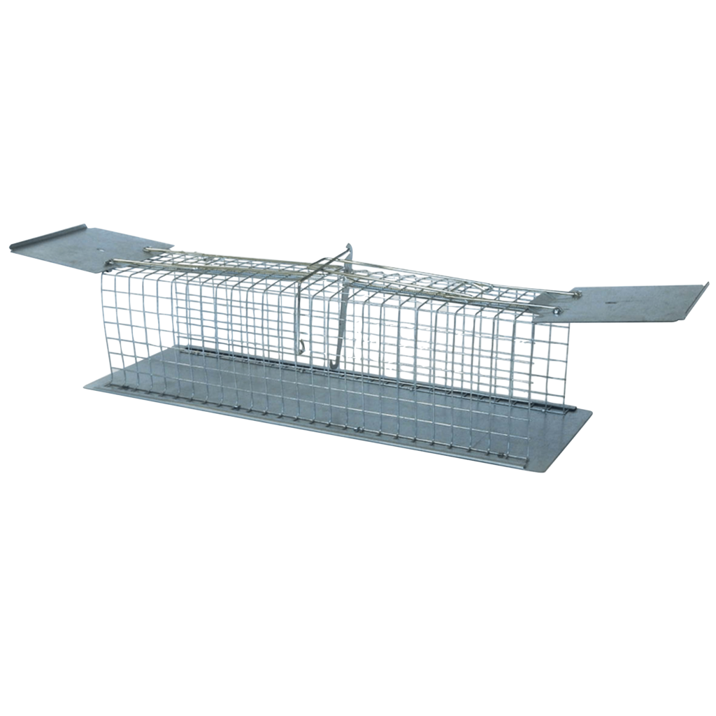 ratten vangkooi