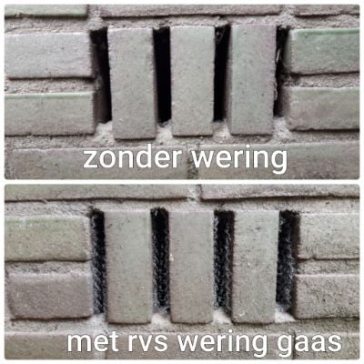 Muizen bestrijden in magazijn: wat werkt