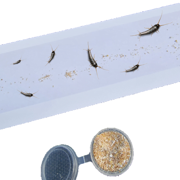 zilvervisjes lokmiddel