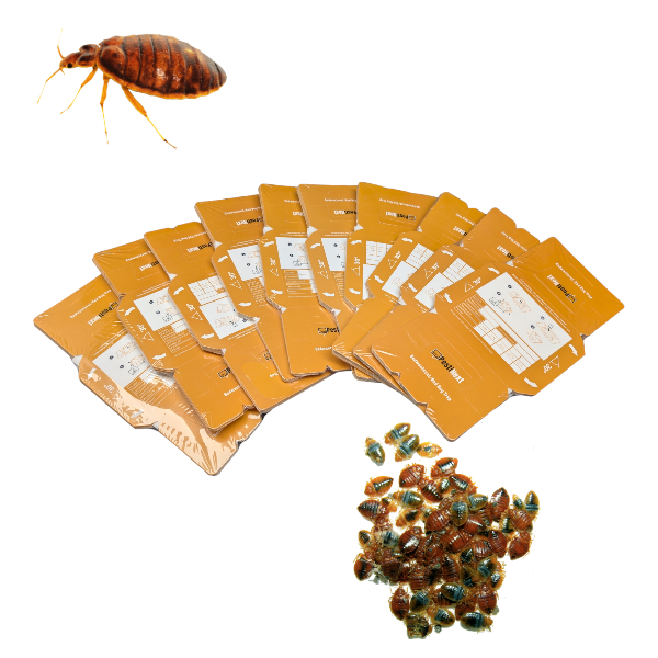 ongediertebestrijding