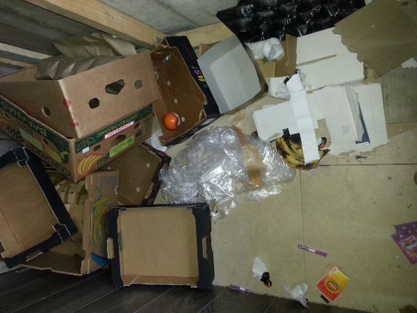 levensbehoefte van muizen en ratten