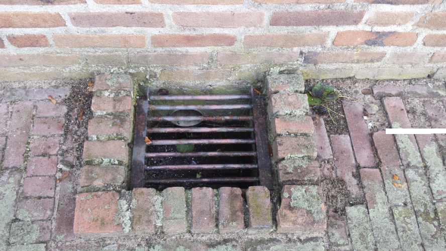 veilige ongediertebestrijding