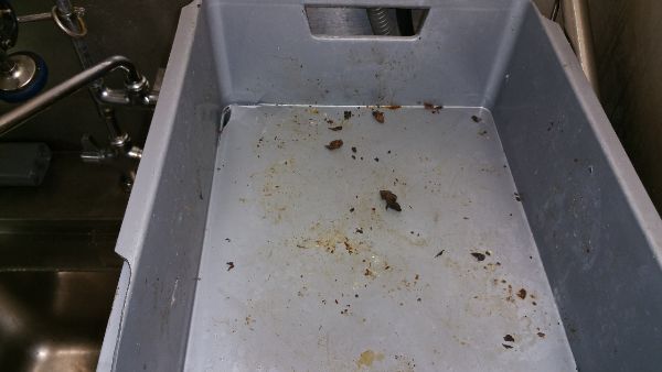 ongediertepreventie tips voor bedrijven