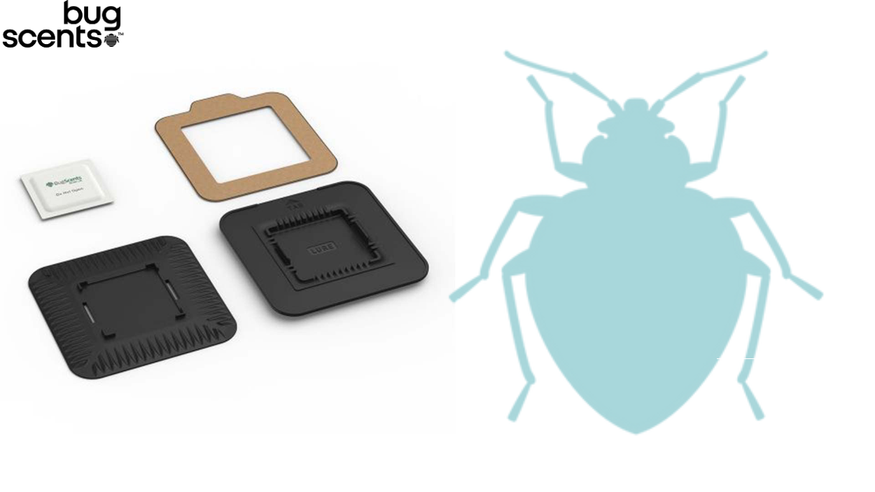Professionele BugScents™ Bedwants Detectie