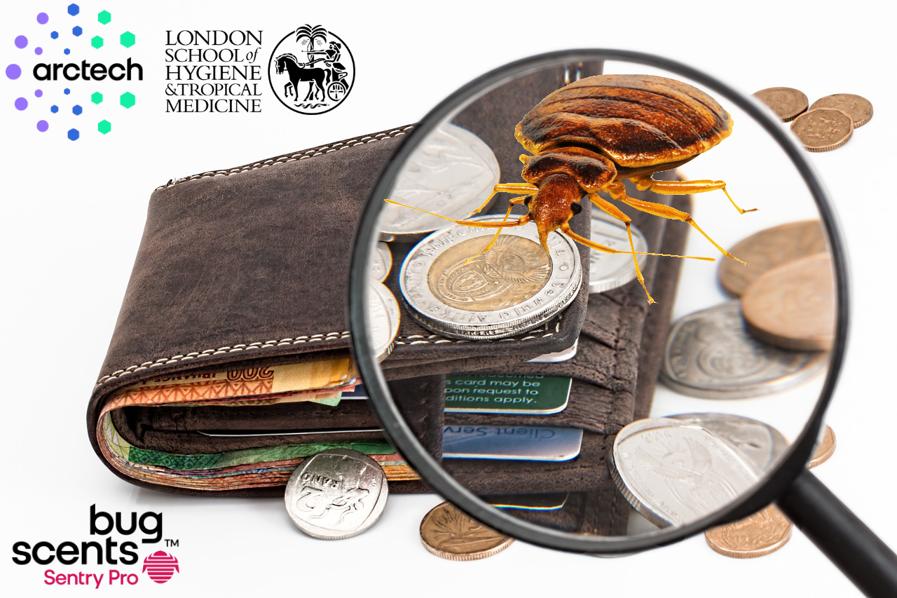 Wat kost bedwants monitoring voor een hotel?