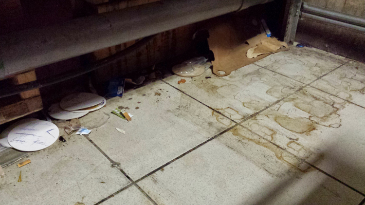 veilige ongediertebestrijding