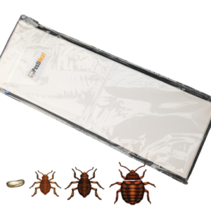 PestiNext® Bedwants XL lijmval