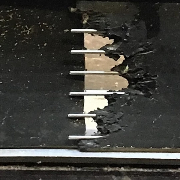 veilige ongediertebestrijding