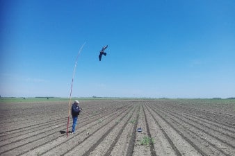 Handleiding Scarybird havik vogelverschrikker