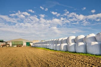 Scarybird vogelverschrikkers