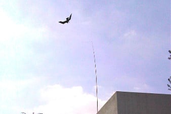 Handleiding Scarybird havik vogelverschrikker