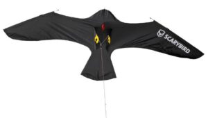 Scarybird vlieger