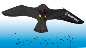 Scarybird vogelverschrikker 6 meter – Professioneel
